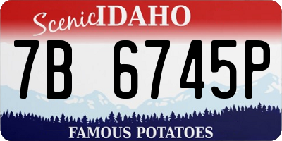 ID license plate 7B6745P