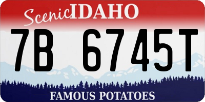 ID license plate 7B6745T