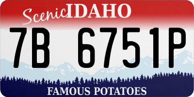 ID license plate 7B6751P