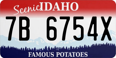 ID license plate 7B6754X