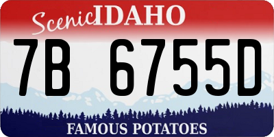 ID license plate 7B6755D