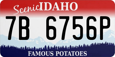 ID license plate 7B6756P