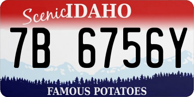 ID license plate 7B6756Y