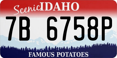 ID license plate 7B6758P