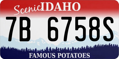 ID license plate 7B6758S