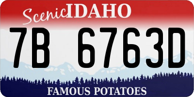 ID license plate 7B6763D