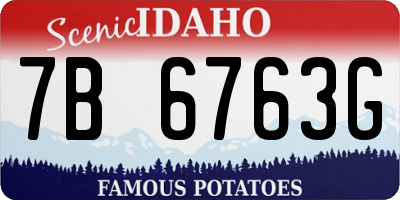 ID license plate 7B6763G