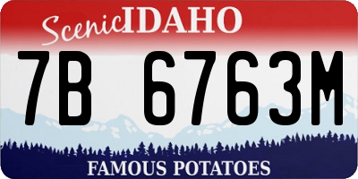 ID license plate 7B6763M