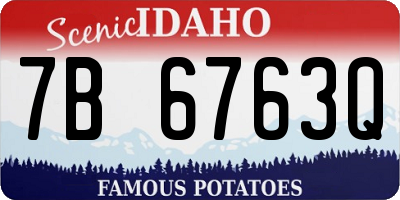 ID license plate 7B6763Q