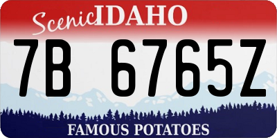 ID license plate 7B6765Z