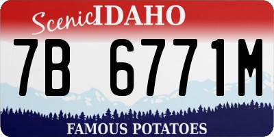 ID license plate 7B6771M