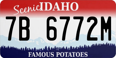 ID license plate 7B6772M
