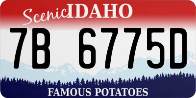 ID license plate 7B6775D