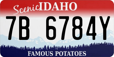 ID license plate 7B6784Y