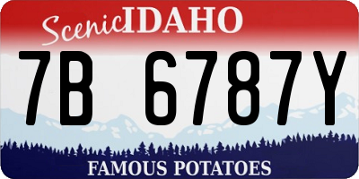 ID license plate 7B6787Y