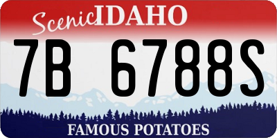 ID license plate 7B6788S