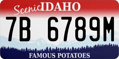 ID license plate 7B6789M