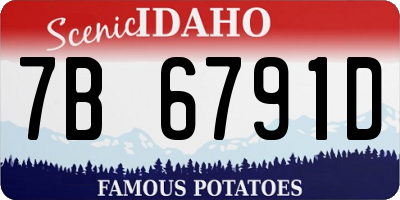 ID license plate 7B6791D