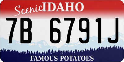 ID license plate 7B6791J