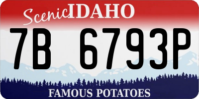 ID license plate 7B6793P