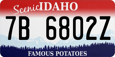 ID license plate 7B6802Z