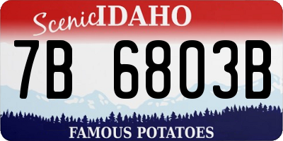 ID license plate 7B6803B