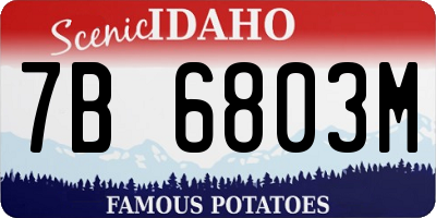 ID license plate 7B6803M