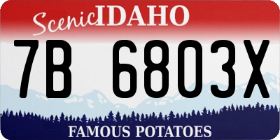 ID license plate 7B6803X