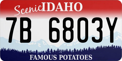 ID license plate 7B6803Y