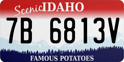 ID license plate 7B6813V