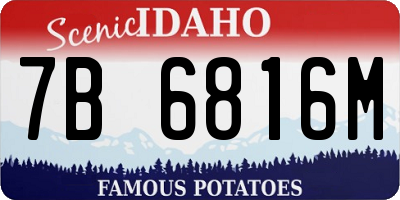 ID license plate 7B6816M