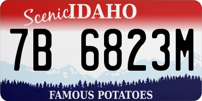 ID license plate 7B6823M