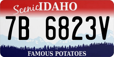 ID license plate 7B6823V