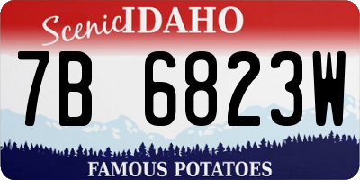 ID license plate 7B6823W