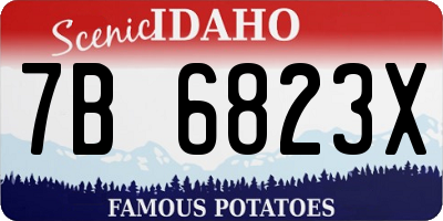 ID license plate 7B6823X