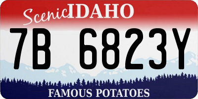 ID license plate 7B6823Y