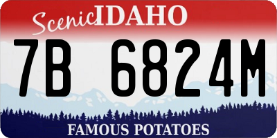 ID license plate 7B6824M