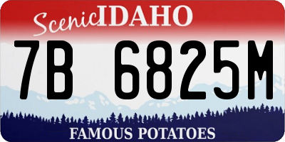 ID license plate 7B6825M