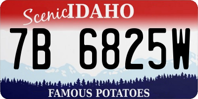 ID license plate 7B6825W