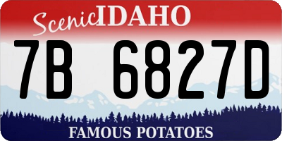 ID license plate 7B6827D