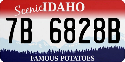ID license plate 7B6828B