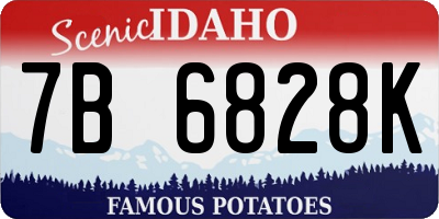 ID license plate 7B6828K