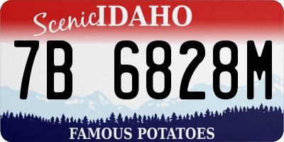 ID license plate 7B6828M
