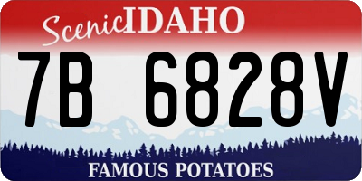 ID license plate 7B6828V
