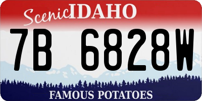 ID license plate 7B6828W
