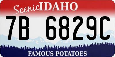 ID license plate 7B6829C