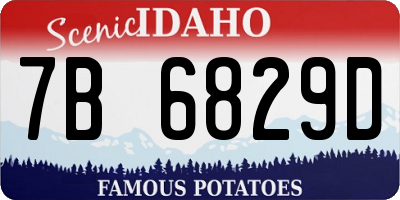 ID license plate 7B6829D