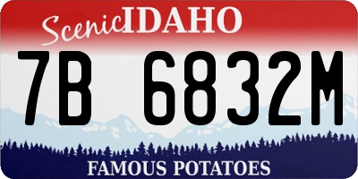 ID license plate 7B6832M