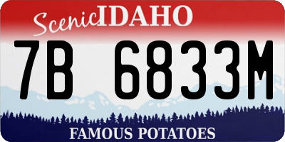 ID license plate 7B6833M