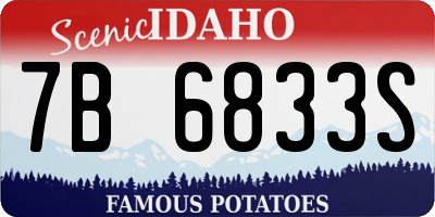 ID license plate 7B6833S